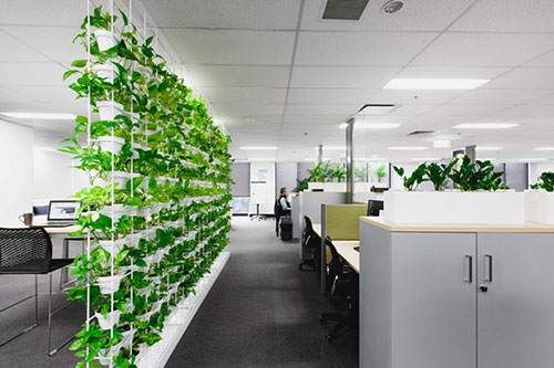 Mô hình văn phòng xanh green office mang giá trị thẩm mỹ cao